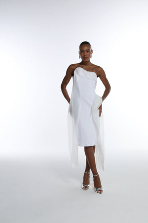 CI26225_shopify_lb