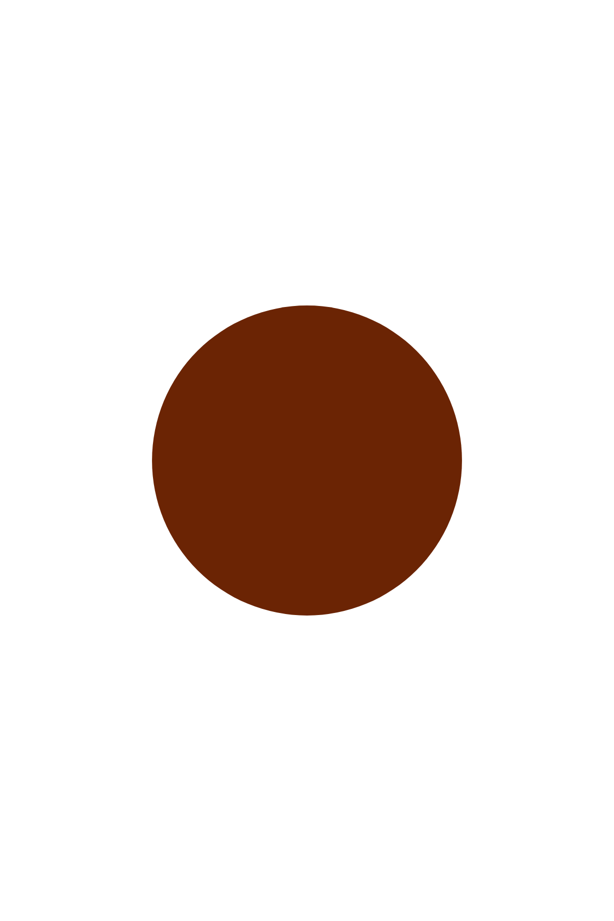 Chemise Bolso Cargo Cotton Supreme