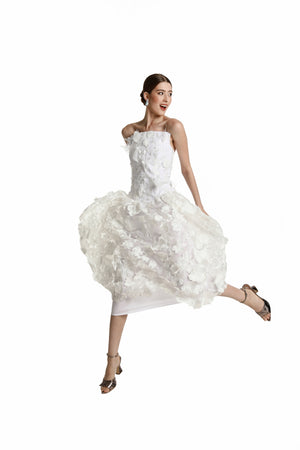 CV27209_shopify_lb